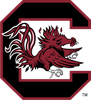 South Carolina logo