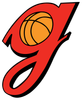 Georgia logo
