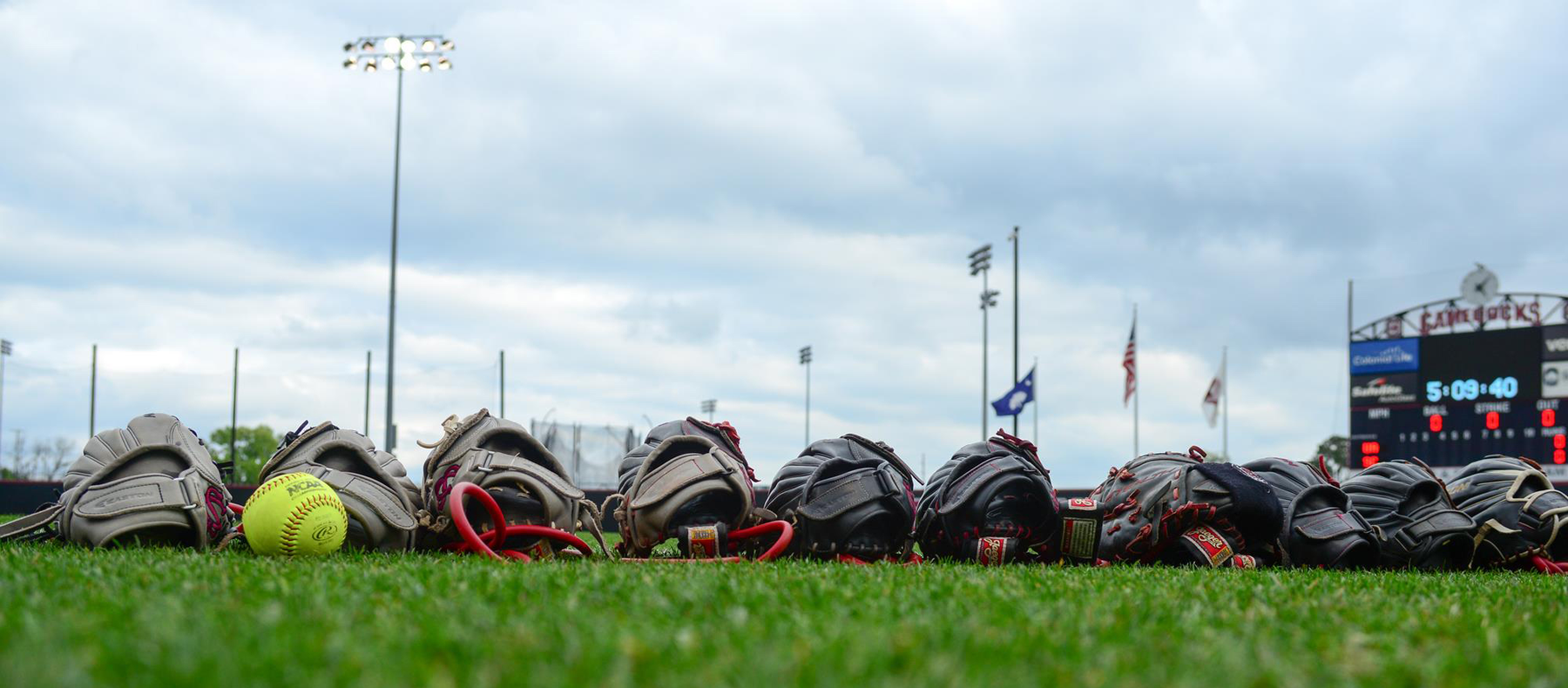 Softball gloves